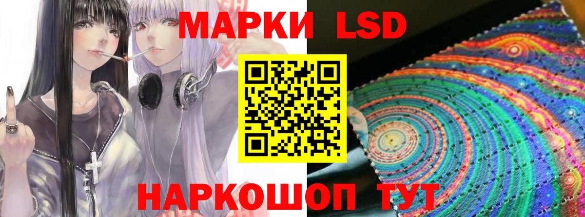 Бердск  LSD-25 экстази кислота  Вход с VPN 