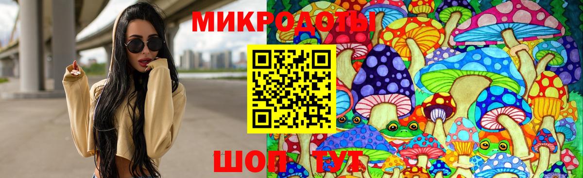 Бердск  где продают наркотики  Вход с VPN  Псилоцибиновые грибы мицелий 